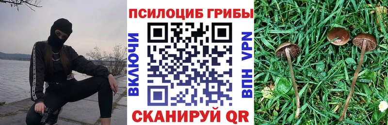 сколько стоит  Лаишево  Галлюциногенные грибы Psilocybine cubensis 
