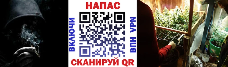 ссылка на мегу онион Лаишево Шишки марихуана семена